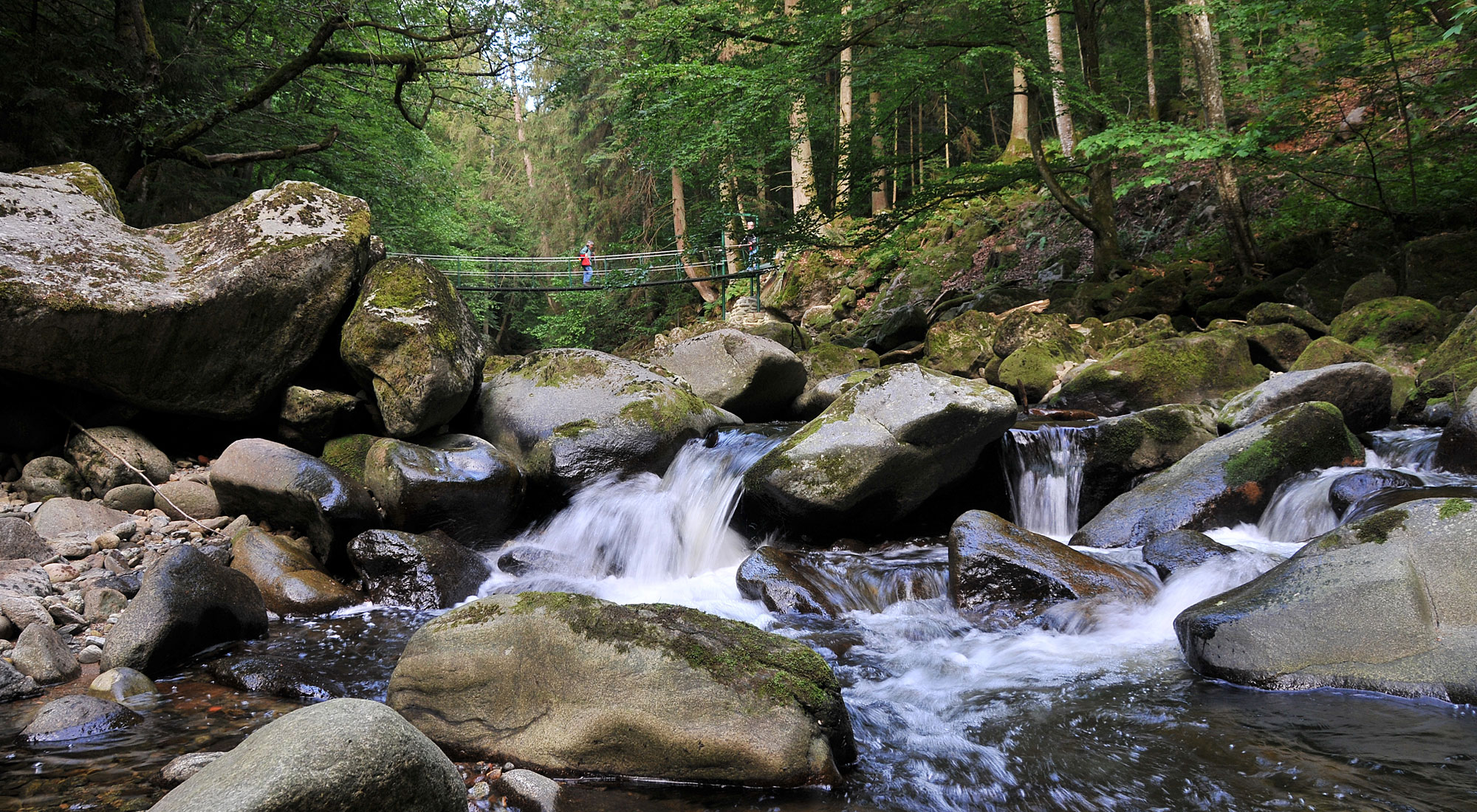 Urlaub in Ringelai im Bayerischen Wald